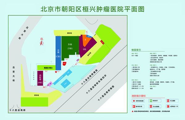 大鸡巴1日B视频北京市朝阳区桓兴肿瘤医院平面图